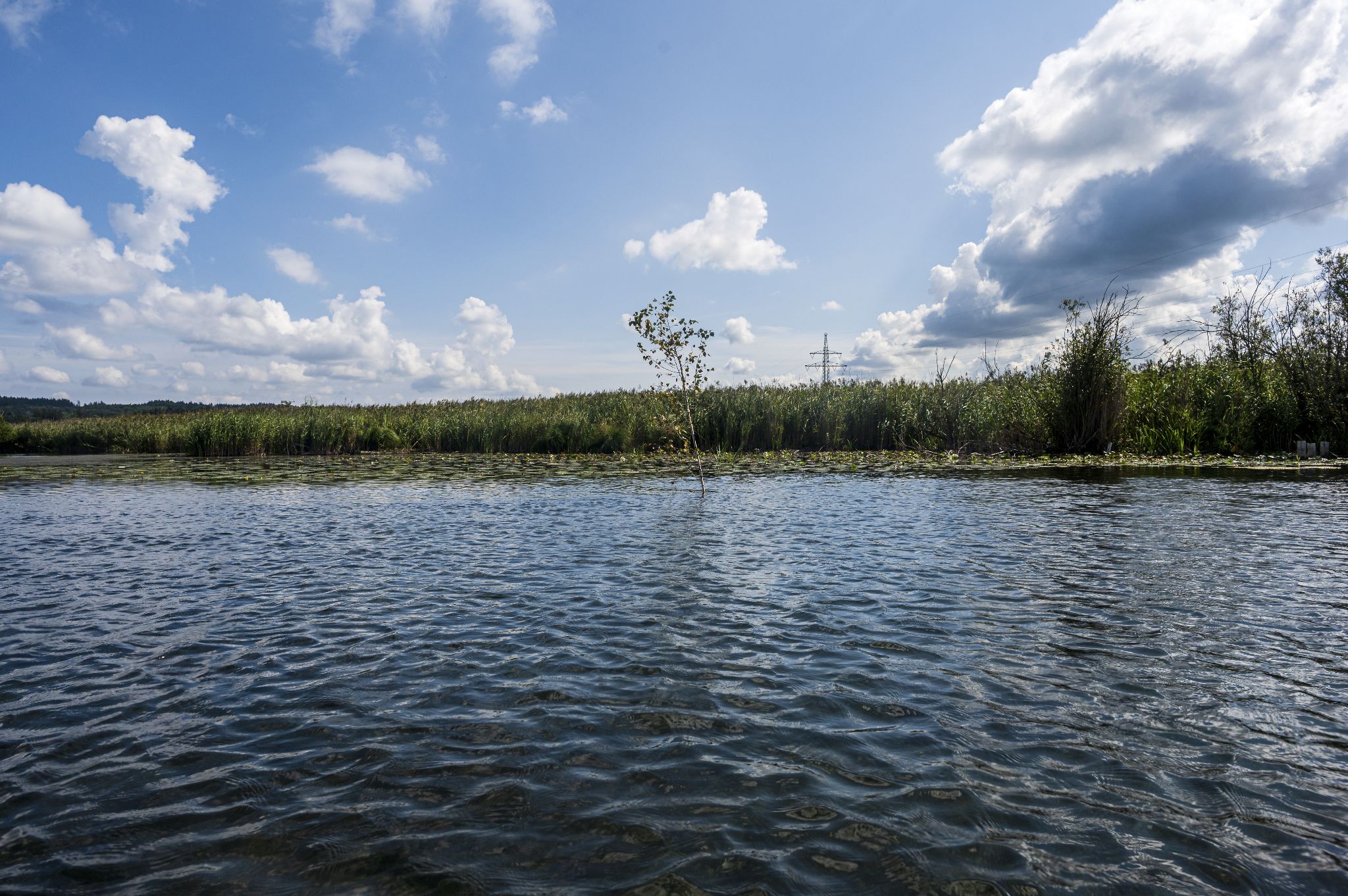 Kajaktour Leutstettner Moos 21.08.2022